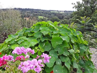 Bed & Breakfast La Belle Ame