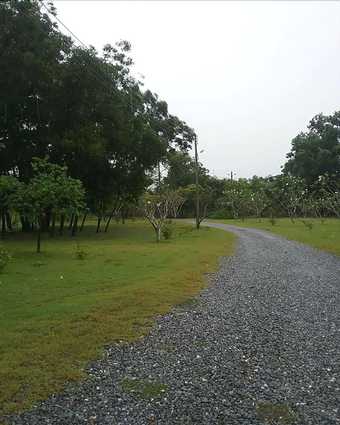 Hotel Matharak Resort Kaeng Hin Poeng