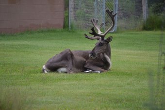 Allseasons Bed & Breakfast