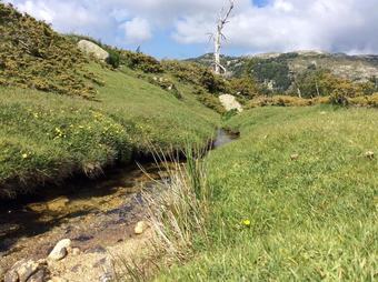 Hotel Chambre D'h�te Le Paradis