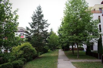 Apartamentos Luxury Studio In The Heart Of Beroun