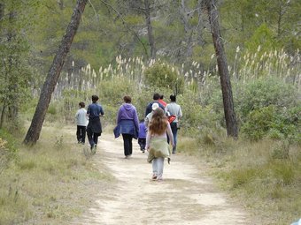 Agroturismo La Artezuela