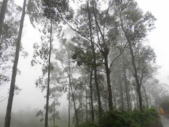 Hotel Yoho The Train View