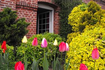 Bed & Breakfast Ferme De Bonavis - Studios