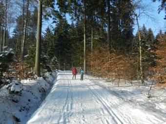 Waldgasthof & Hotel Am Sauwald
