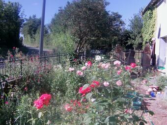 Hotel Maison Sans Soucis