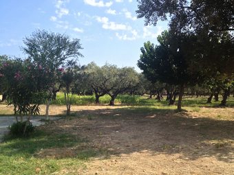 Villa Rania Zante Drosia