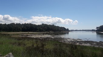 Bed & Breakfast Back To Breizh