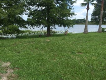 Hotel Budget Inn Sanford