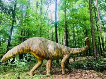 Cabana Baumhotel Styrassic Park