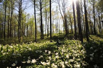 Kroppefj�ll Bed & Breakfast