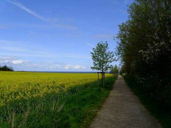 Apartment Dorfring Y