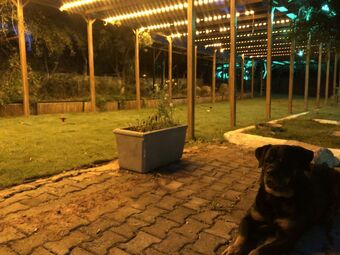 Hotel �e?me Ekoloj?k Tat?l K�y�