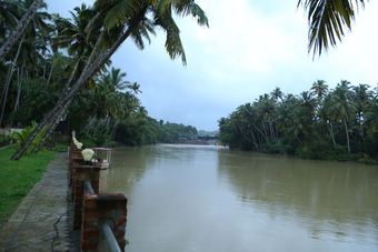 Hotel Travancore Island Resort