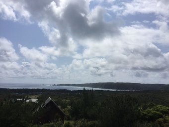 Matayoshi Coffee Farm