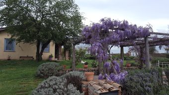 Agroturismo Agriturismo Borgo Campanile