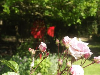 Bed & Breakfast Chambres D'h�tes La Chauss�e D'olivet