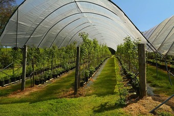 Unique Rural Retreat On A Lovely 15 Acre Smallholding With Award Winning Tea Room & Farm Shop