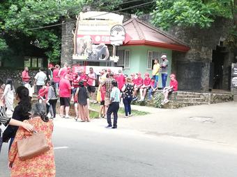 Hotel Elephant Lobby