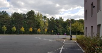 Hotel Ibis Budget Romorantin