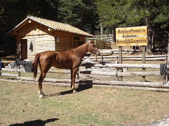 Apartamento Versoest Casa Vacanze