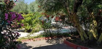 Hostal Oliva Pansiyon