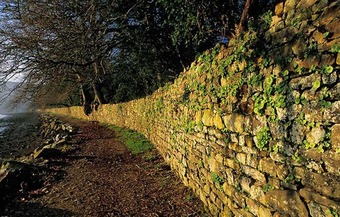 Hotel Chambres D'h�tes La Saint Patrick
