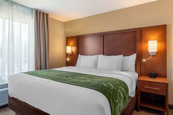 Posada Comfort Inn & Suites Schenectady - Scotia