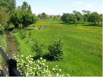 Schwarzwald Ferienhaus Im Birkenweg