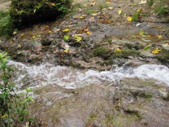 Hostal Gasthof L�wen