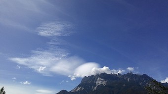 Hotel Wayn Zen Rose Cabin