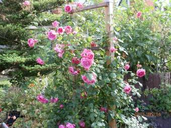 Apartamento Ferienwohnung Fedler