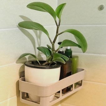 Posada Changbai Mountain Corn Inn