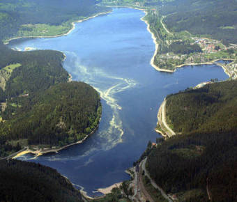 Apartamento Alb Studio