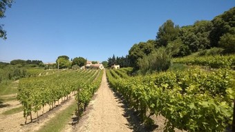 Bed & Breakfast Mas Du Tilleul