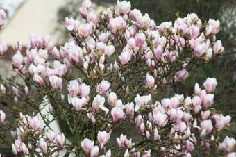 Apartamento G�stehaus Wacker