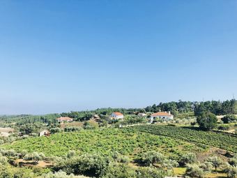 Hotel Suites Do Pinhal