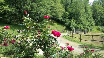 Bed & Breakfast Ca' Scheta