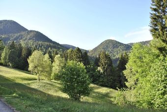 Agroturismo Agritur La Gemma