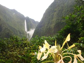 House With 2 Bedrooms In Saint Paul, With Wonderful Sea View, Enclosed Garden And Wifi - 25 Km From The Beach