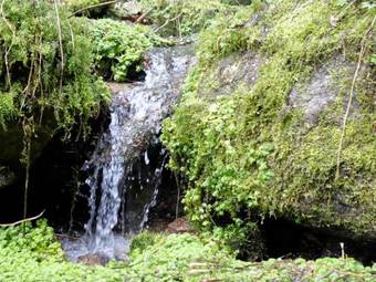 Apartamento Dreil�nderblick Ferienappartements