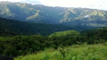 Apartamento Mookanana Resort