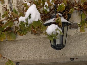 Cellier De La Fontaine