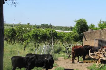 Agroturismo Agriturismo Carbona