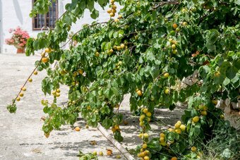 Bed & Breakfast Profumo Di Terra