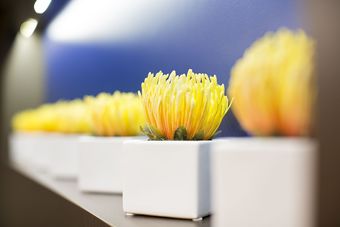 Hotel Courtyard By Marriott North Seattle/lynnwood