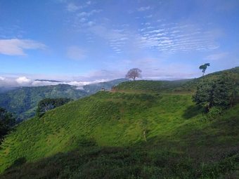 Hotel Green City Guest House