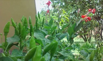 Hostal Sokhon Home Stay - Adults Only