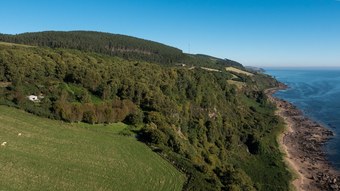 Willow Yurt - Campsite
