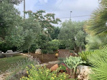 B&B All'ombra Degli Ulivi